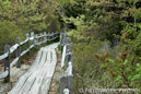 Beach Walkway, Cape Cod, MA