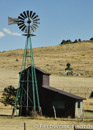 Windmill, NM