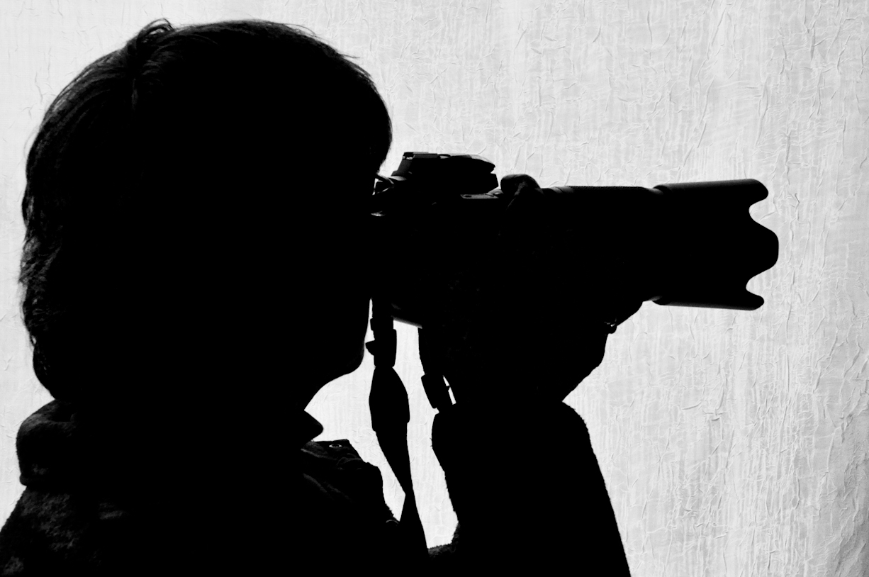 Spiketail Dragonfly on a Rose