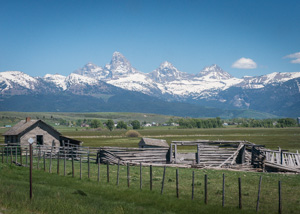 Tetons